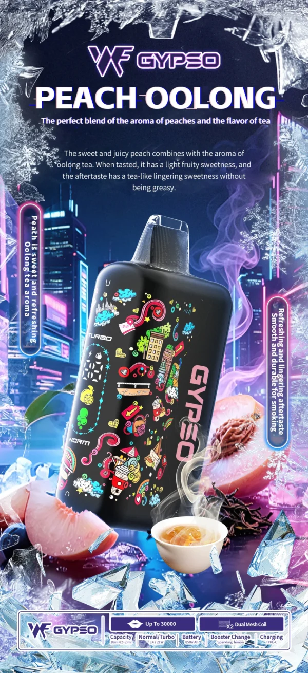 GYPSO 滿天星 30000口拋棄式電子煙｜18ml巨量油艙，支援 Normal/Turbo 雙功率與 Type-C充電