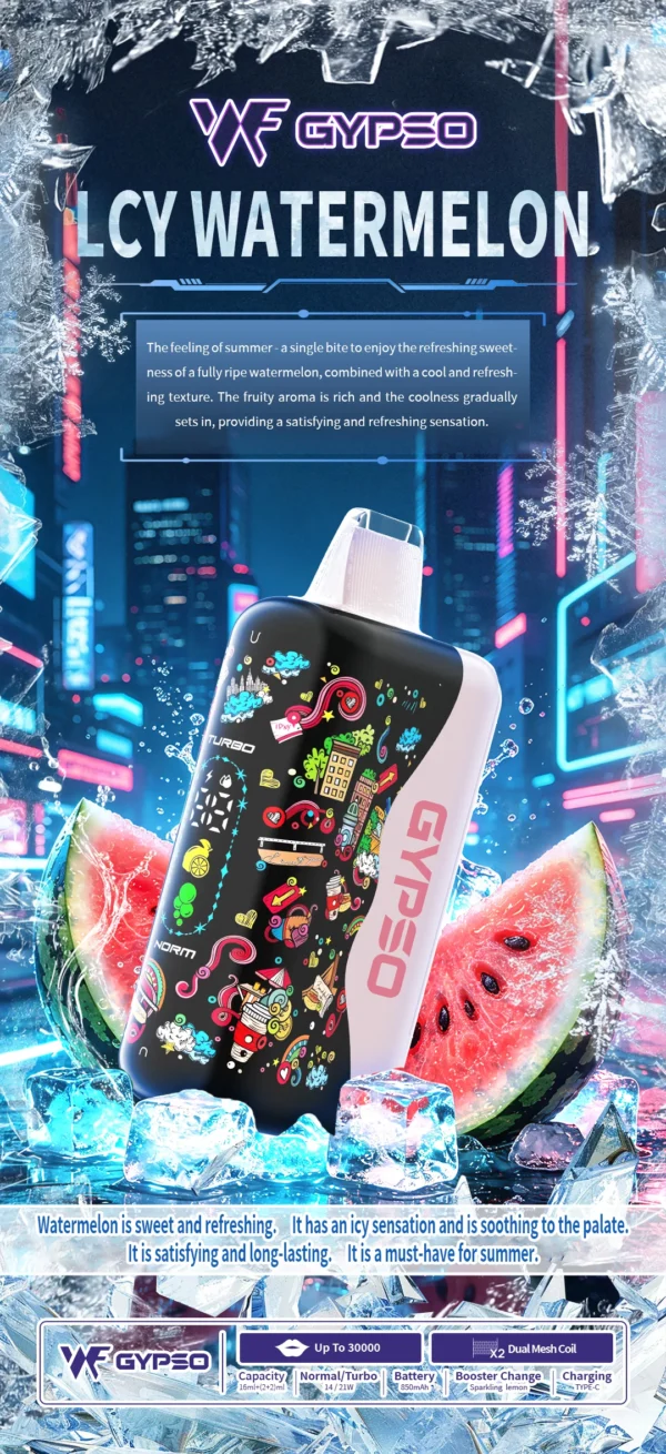 GYPSO 滿天星 30000口拋棄式電子煙｜18ml巨量油艙，支援 Normal/Turbo 雙功率與 Type-C充電