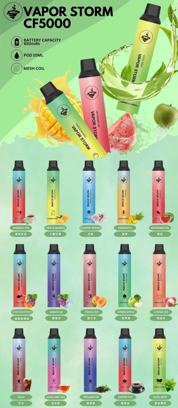 VAPOR STORM 風暴 5000口 拋棄式電子煙｜具備 10ml 大容量與 Mesh 芯強勁霧化技術，採用金屬質感機身設計，搭配 650mAh 可充電長效續航