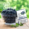 image-287.webp LANA 一代通用煙彈(3顆裝)|具備吸氣即亮炫彩特效與升級陶瓷芯純淨口感,採用 2.5ml 大容量設計,通用一代主機